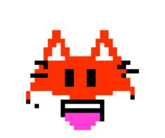 Découverte du site internet